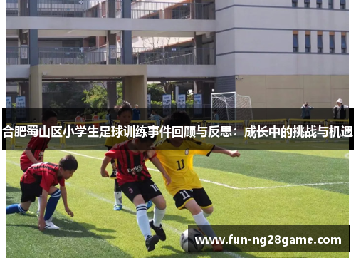 合肥蜀山区小学生足球训练事件回顾与反思：成长中的挑战与机遇